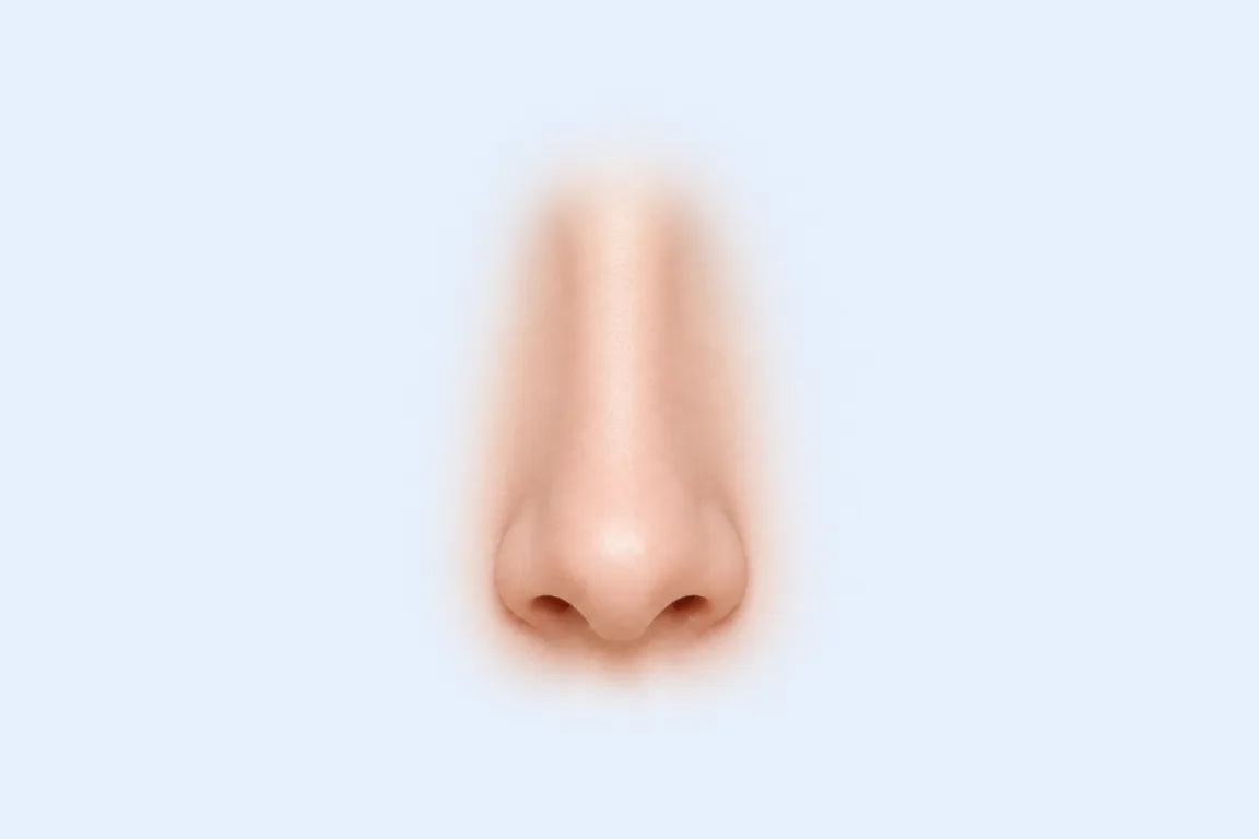 Narrow nose shape reference