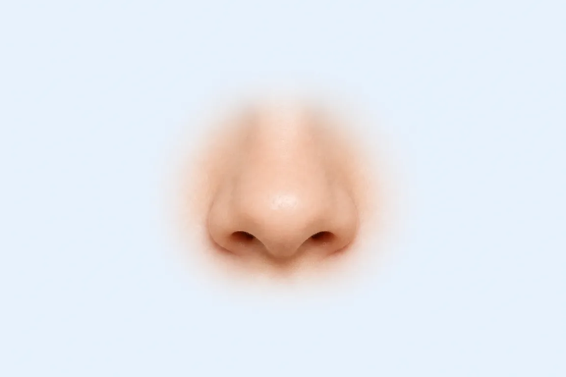 Short nose shape reference